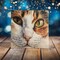 Calico Selfie, Cat Ceramic Tile - cat Decorative Tile - Cat Lover Gift - Unique Cat Gifts product 1